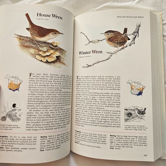 Birds of North America Book - Picture 5 of 6